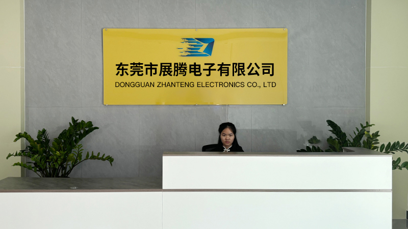 Dongguan Zhanteng Electronics Co., Ltd.